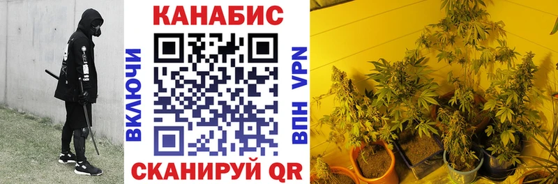 Канабис планчик  Новочебоксарск 